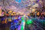 Jinhae,korea - April 2 : Jinhae Gunhangje Festival Is The Largest Cherry Blossom Festival In Korea.tourists Taking Photos Of The Beautiful Scenery Around Jinhae,korea On April 2,2016 Stock Photo