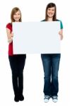 Pair Of Good Looking Women Holding Whiteboard Stock Photo