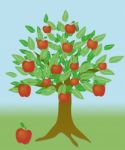 Apple Tree Stock Photo