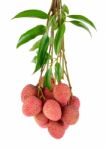 Lychee Or Litchi Isolated On The White Background Stock Photo