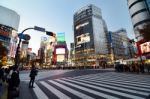 Tokyo - November 28: Crowds Of People Crossing The Center Of Shi Stock Photo