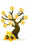 Money Tree Stock Photo