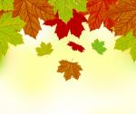 Autumn Leaves Background Stock Photo