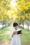 Portrait Of Young Beautiful Asian Woman Standing In Yellow Flowe Stock Photo