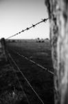 Rusted Sharp Timber And Metal Barb Wire Fence Stock Photo