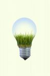 Growth Of Your Idea In Electric Bulb Stock Photo