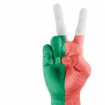 Flag Of Madagascar On Victory Hand Stock Photo