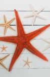 Starfish On White Wood Stock Photo