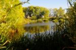 Autumn Scenery Near A Lake With Yellow Leaves On  Trees In Fall Stock Photo