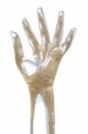 X-ray Phantom Hand Stock Photo