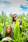 Two Young Girls Hiding In A Green Cornfield Stock Photo