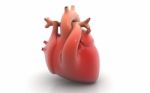 3d Human Heart Stock Photo