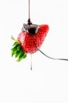 Strawberry With Liquid Chocolate Stock Photo