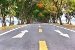 Asphalt Road With Natural Tree Tunnel And White Arrow Sign Marking On Road Stock Photo