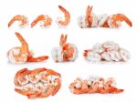 Shrimp Isolated On The White Background Stock Photo