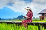 Young Woman Reading A Book And Sitting On Wooden Path With Green Rice Field In Vang Vieng, Laos Stock Photo