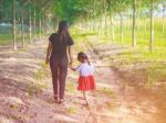 The Woman And Child Holding Hands At Sunset Stock Photo