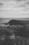 View Of Bruny Island Beach During The Day Stock Photo