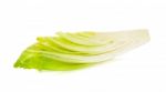 Slice Chicory Isolated Stock Photo