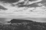 View Of Bruny Island Beach During The Day Stock Photo