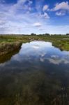 Spring Countryside Water Stream Landscape Stock Photo