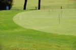 Golf Green Practice Stock Photo