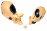 Two Pigs Found Coin Stock Photo