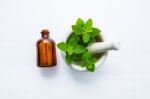 Natural Mint Essential Oil In A Glass Bottle With Fresh Mint Lea Stock Photo