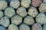 Custard Apple Stock Photo