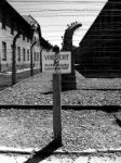 Auschwitz Stock Photo