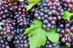 Fresh Grape Cluster With Green Leafs Stock Photo