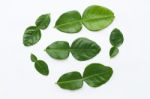 Bergamot Kaffir Lime Leaves Herb Fresh Ingredient Isolated On Wh Stock Photo