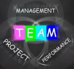 Words Displays Team Management Project Performance Stock Photo