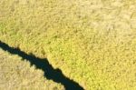 Okavango Delta Aerial View Stock Photo