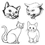 Set Of Cat Doodle Hand Drawn Stock Photo