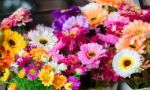 Decorative Artificial Flowers Stock Photo