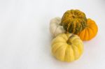 Mini Pumpkin Stock Photo