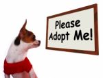 Please Adopt Me Sign Stock Photo