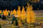 Autumn Colours In Wyoming Stock Photo