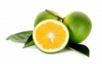 Citrus Sinensis Isolated On The White Background Stock Photo