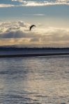 Pristine Beach At Wellington Point, Brisbane Stock Photo