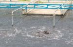 Wastewater Treatment Plant Aerating Basin Stock Photo