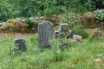 Overgrown Graveyard Stock Photo