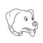 Labrador Retriever Surprised Drawing Stock Photo