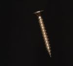 Brass Screw Stock Photo