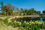 The Pond In The Royal Agricultural Station Inthanon Stock Photo