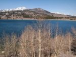 Beautiful Lake, Snow Mountain And Pine Tree Stock Photo