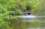 Winkworth Arboretum Stock Photo