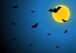 Halloween Bat Fly With Moon And Sky Stock Photo