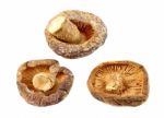 Dry Shiitake Mushroom Isolated On White Stock Photo